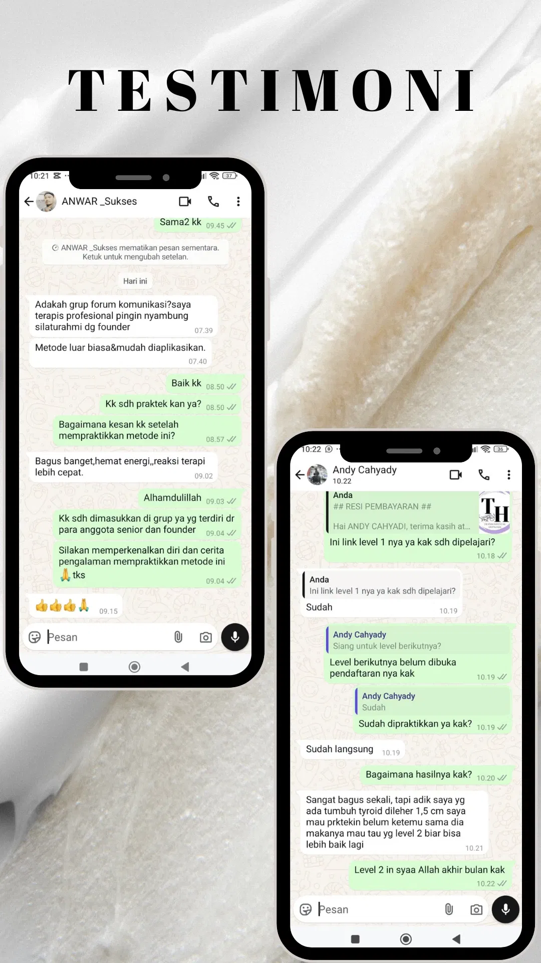 testi 11