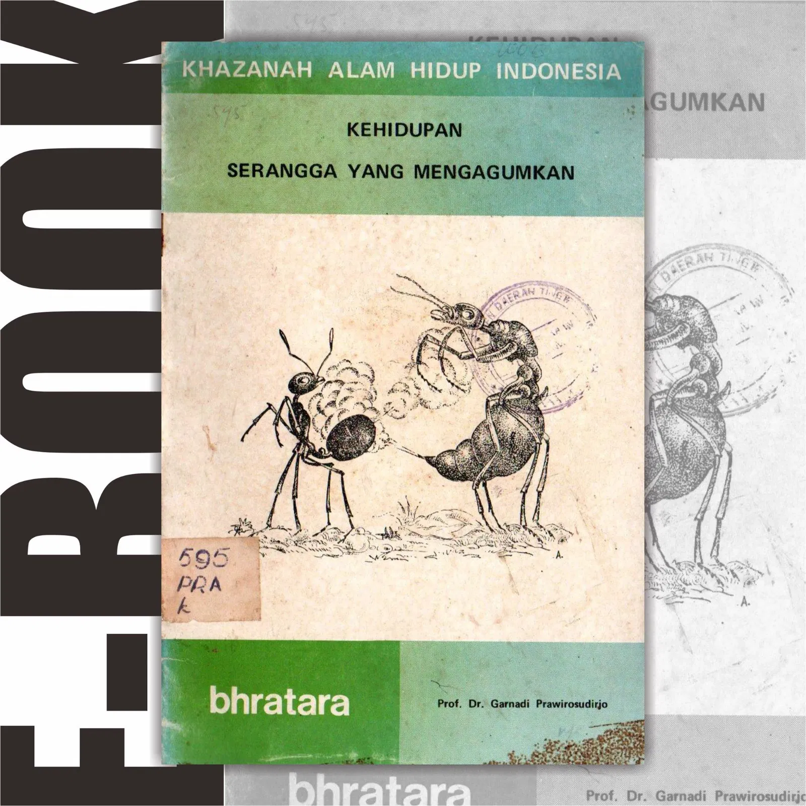 Kehidupan Serangga
